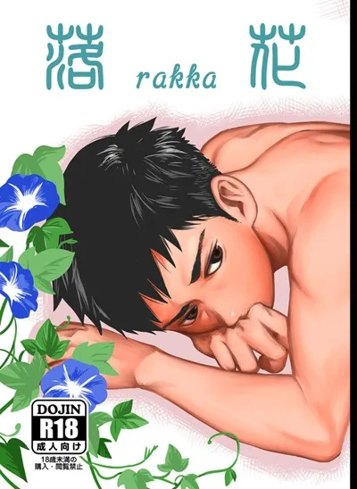 box-tsukumo-gou-rakka-shotachan