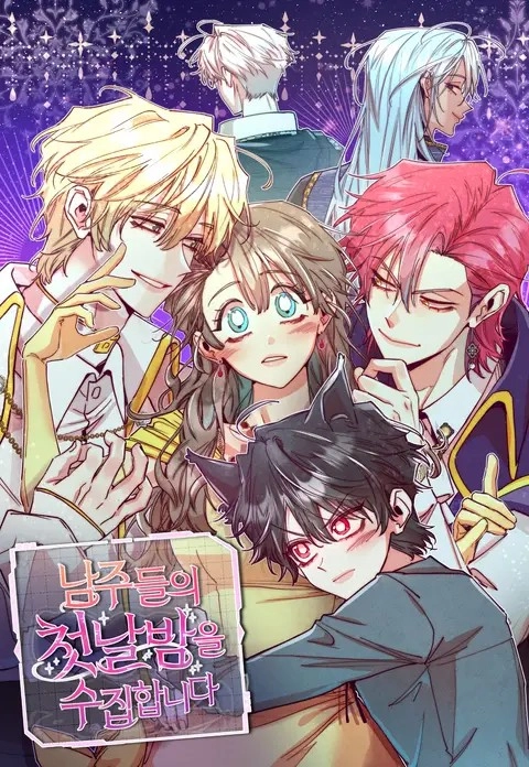 collecting-the-first-nights-of-the-male-leads