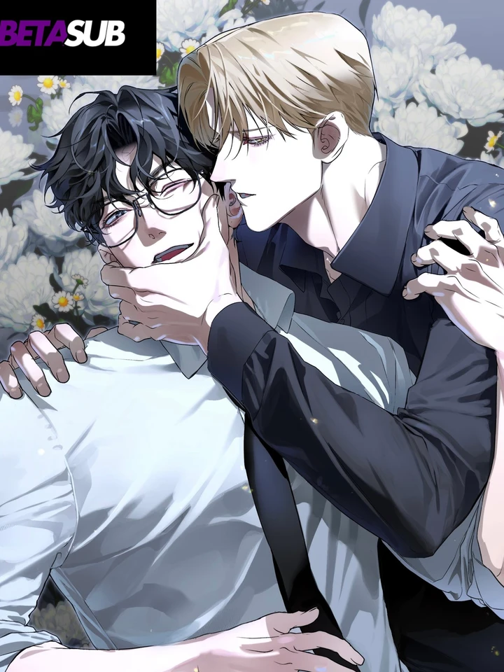 when-the-stars-align