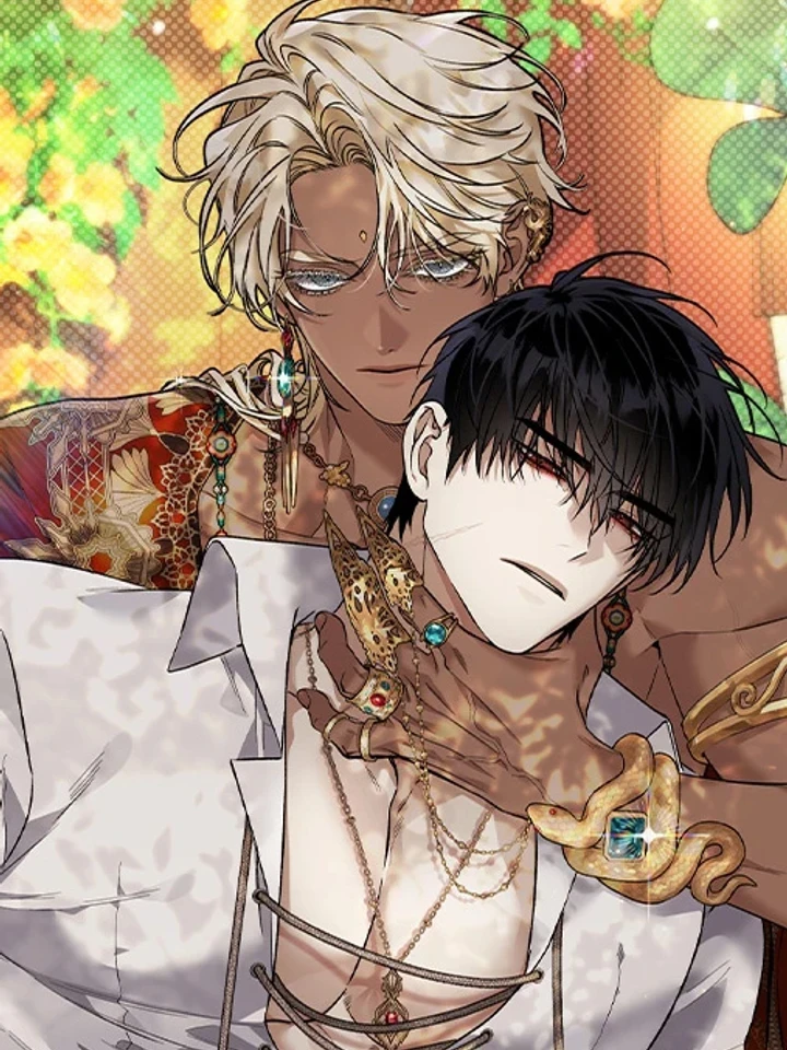 blossom-under-the-suns-night