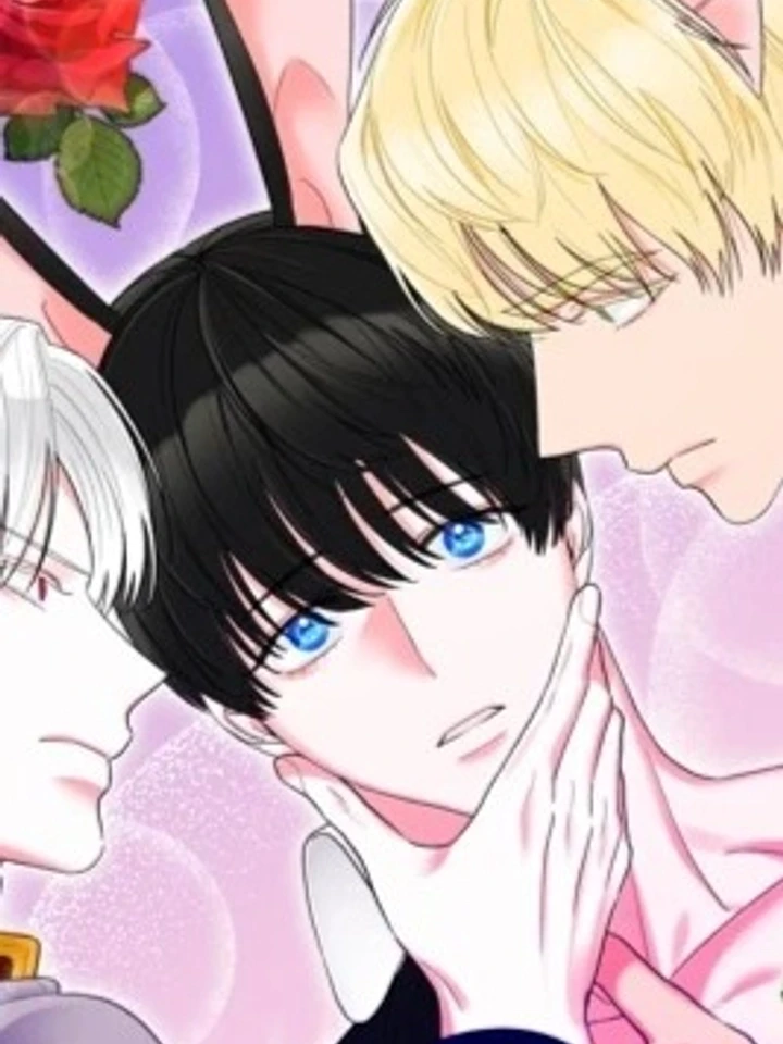 dolsoes-lustful-trap